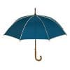 blå stok paraply